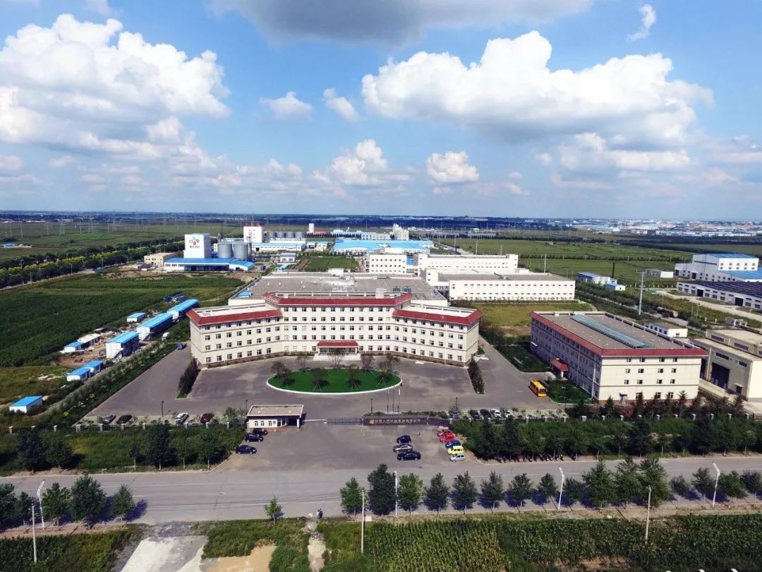 人民藥業(yè) 人民藥業(yè)